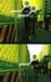 gallery_df58