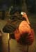 gallery_xxhk16